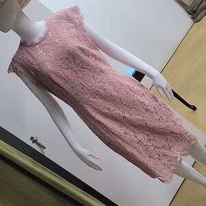 NWT Miusol Pink Lace Cap Sleeve Wvening Pencil Dress Size Large